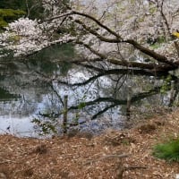 4月の休み→　7・14・21・22・28