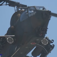 【榛名備防録】AH-1S後継にF-35Bを！トランプ関税目前-伝家の宝刀”防衛装備品貿易黒字相殺”の提案
