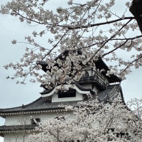 国宝犬山城