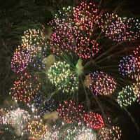 通りすがりの花火で車窓から撮影する。