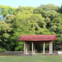 西都原（さいとばる）古墳群