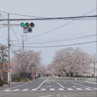 長持ちしてくれてる。