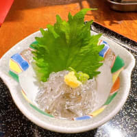 届いたばかりの朝どれの生しらす！漁師の漢気タイムでぜひご賞味ください！