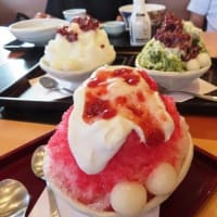 和泉句会に行く