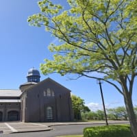 Kennyのぶらりカメラを提げて：若葉の季節