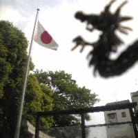 BLACK DRAGON