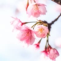 昨日は横浜に散歩