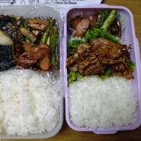 我が家のお弁当　2025/06/22とその前