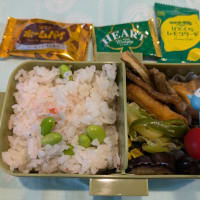 ６月２６日のお弁当＆昨日の晩御飯