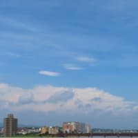 ２０２５．０６．２２　今日のブログ
