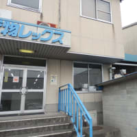 山菜採り