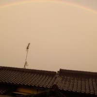 斎さん 大好きな霊能者さんでした お人形と同じ部屋で寝起きしている私 斎さん 大好きな霊能者さんでした お人形と同じ部屋で寝起きしている私