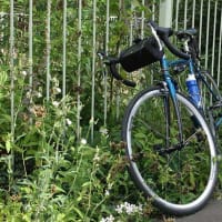 1年ぶりに自転車に乗る。