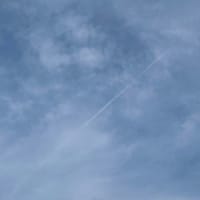 梅雨が明けました！