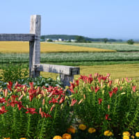 美瑛みたい～♪ in 由仁町