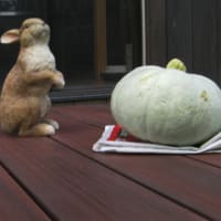 旭神　I様宅　特寸デッキ