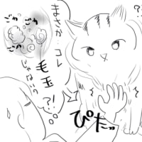 隠し玉