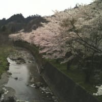 名栗の川沿い