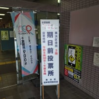 というわけで投票だん