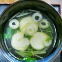 「水曜日のお嬢様　タンタンのゆるゆるライフ」