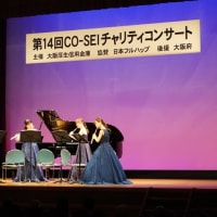 第14回CO-SEIチャリティコンサートに行ってきたよ！