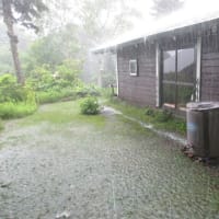 Heavy rain