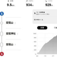 2024京都トレイル西山コース＆愛宕山登山