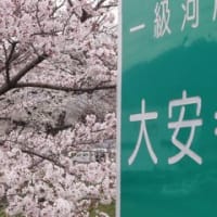 カメラ同好会の撮影会