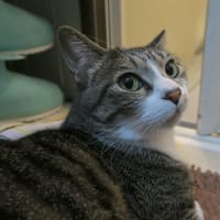 しっとりバスマットの上