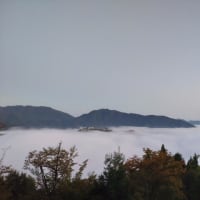 雲海の名城