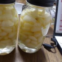 夏野菜混植栽培してます