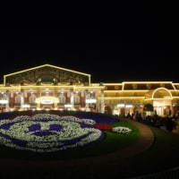 会えずじまい。～東京ディズニーリゾートへの旅。最終回