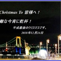 散歩の花　　「2018年12月24日」　Merry　Chrisutomas　To　you！