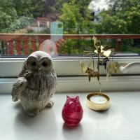 ブログ「すぎなの風」、再開いたしました。