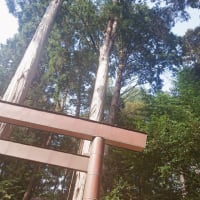うわーってなってカフェにいったら