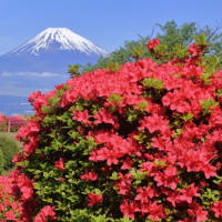 富士山　ｺﾞｰﾙﾃﾞﾝｳｨｰｸ...  景勝地での人込み事前対応⇒　前倒し散策ですょ。