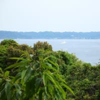 日産リーフとの甘い暮らし・・好き、嫌い、それからの日々