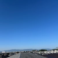 身体を動かすこと