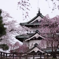弘前城へ