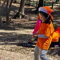 Go to the mountain!