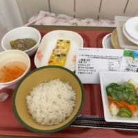 虫垂炎の手術を受けた話し⑧術後６日目