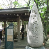 亀戸下町散歩～香取神社・亀戸梅屋敷