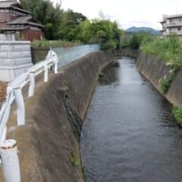 2024神奈川河川ﾎﾟﾀﾘﾝｸﾞ『恩曽川』③厚木市飯山の「八ツ橋」～『恩曽川』の上流端へ