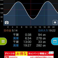 アカハタ調査