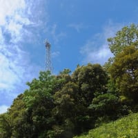 梅雨の晴れ間に