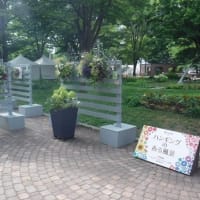 花フェスタ札幌2025を覗いてみた　