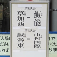 参院選の期日前投票をして航空記念公園へ（埼玉・所沢）