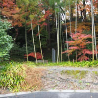 茨木　大門寺の紅葉