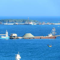 ６月１２日の大浦湾の様子