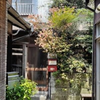 井戸が有った家とまるヒとモジョモジョ